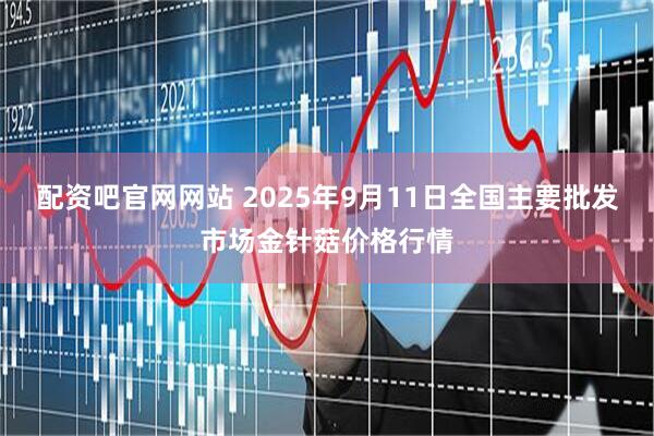 配资吧官网网站 2025年9月11日全国主要批发市场金针菇价格行情