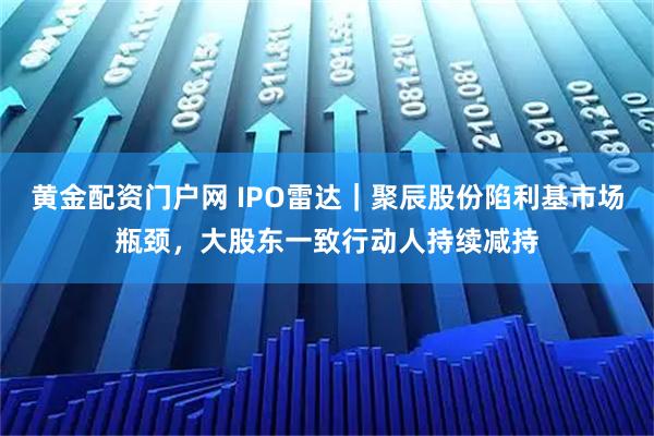 黄金配资门户网 IPO雷达｜聚辰股份陷利基市场瓶颈，大股东一致行动人持续减持