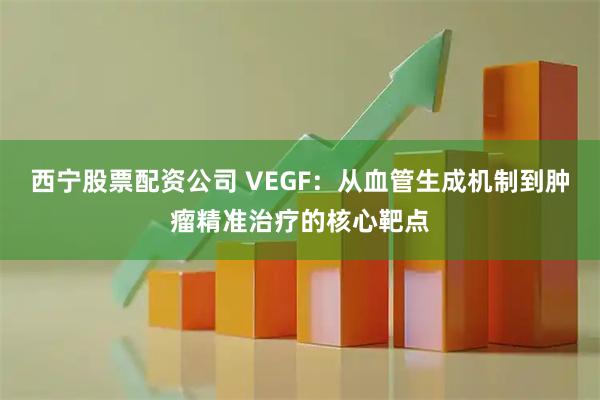 西宁股票配资公司 VEGF：从血管生成机制到肿瘤精准治疗的核心靶点